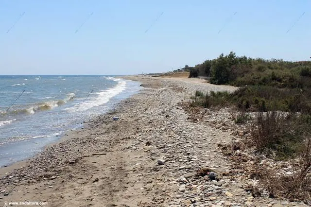 Playa de los Baños