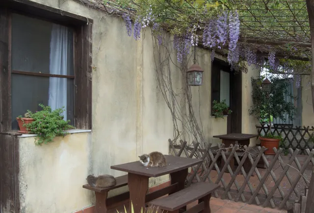 Agriturismo Ruvitello C.da Cuba – Fondo Ruvitello s/n 95045 MISTERBIANCO (Catania