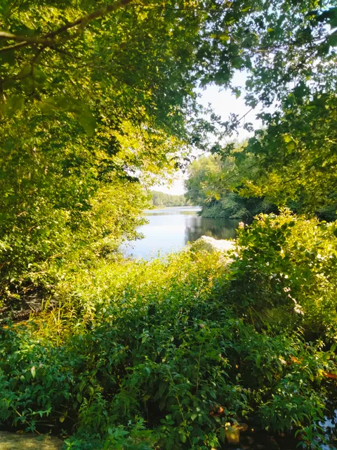 Quicksand/Simmons Mill Pond