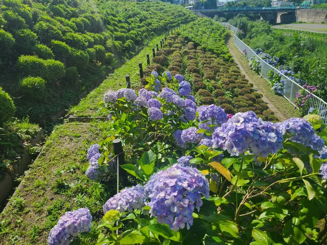 Noshichiri Daiichi Park