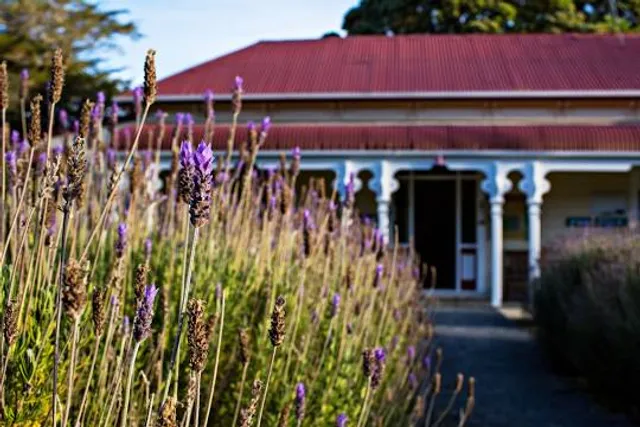 Battle Hill Farm Forest Park