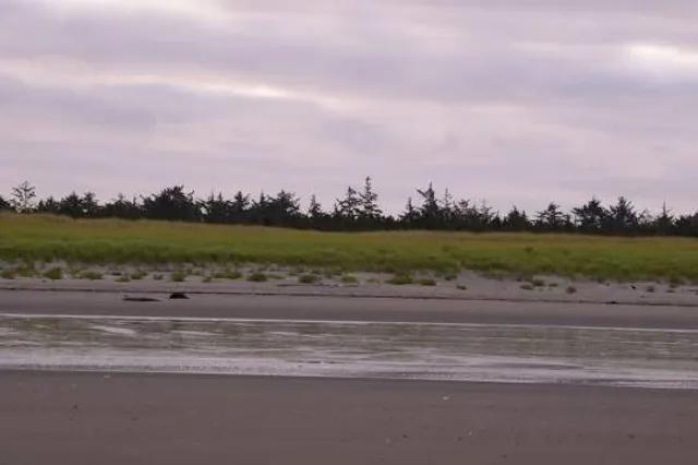 Twin Harbors State Park