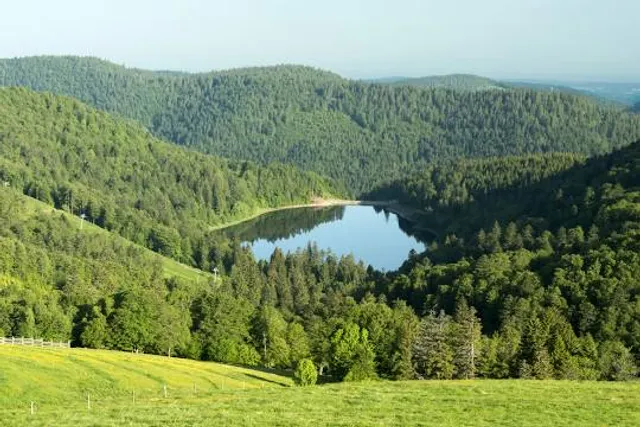 Parc naturel régional de Lorraine