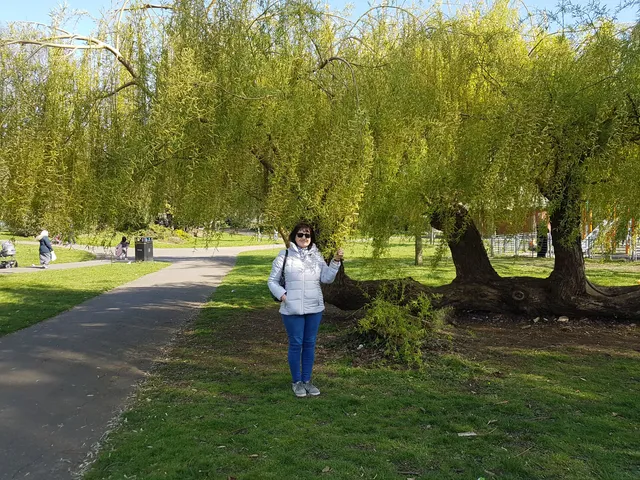 photo-2