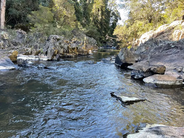 Eungella National Park-Broken River Section
