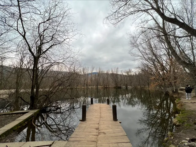 Bosque finlandes rascafria