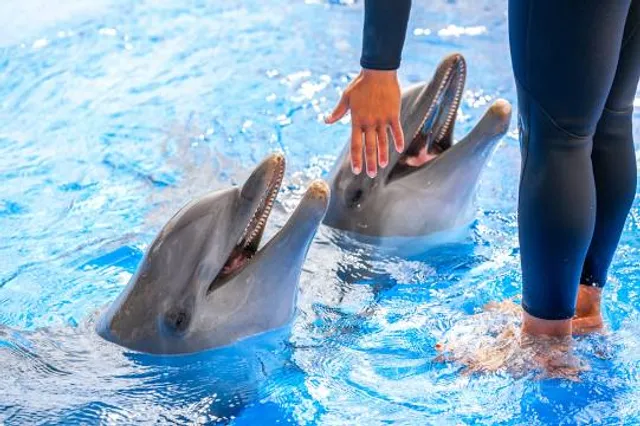 Ocean World Adventure Park, Puerto Plata, Dominican Republic.