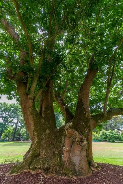 George Pentland Botanic Gardens