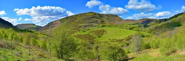 Gilfach Nature Reserve