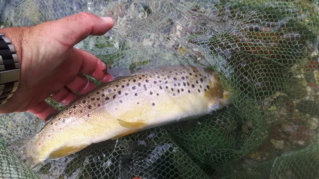 Fishermen Association High Sarca