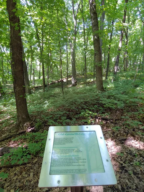 Wood-Rill Scientific and Natural Area (SNA)