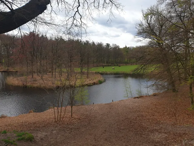 Landgoed Groeneveld - Staatsbosbeheer