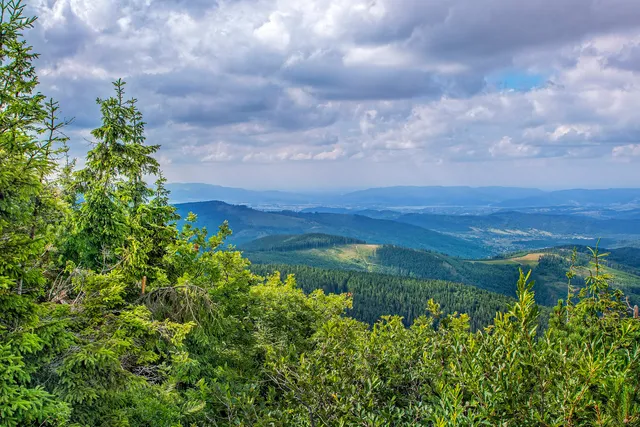 Pilsko Nature Reserve