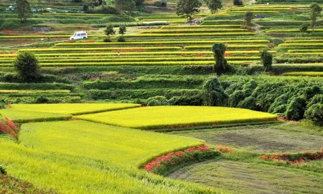 Inabuchi Rice Terraces