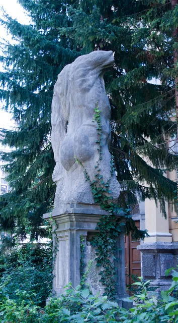 Anatomisches Museum / Medizinische Universität Innsbruck