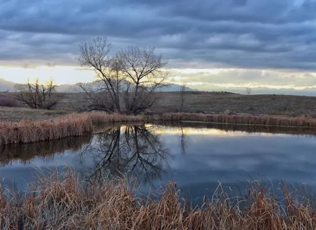 Walden Ponds Wildlife Habitat