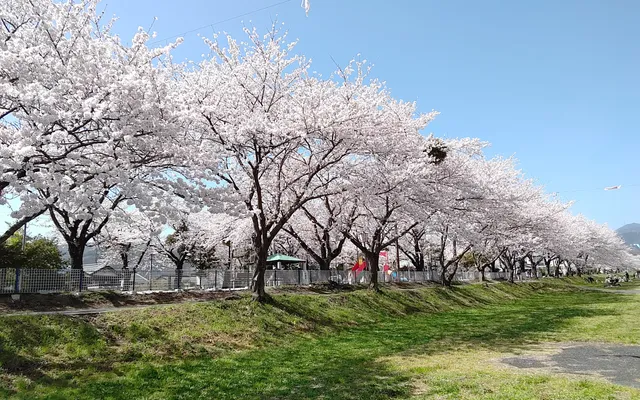 Aikawa Mizube Park