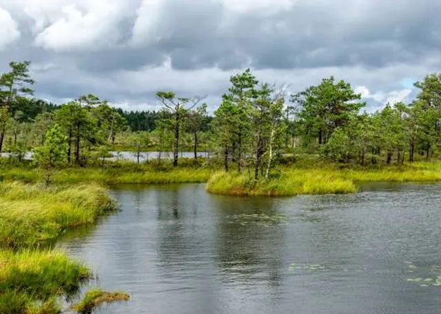 Tolkuse raba matkarada