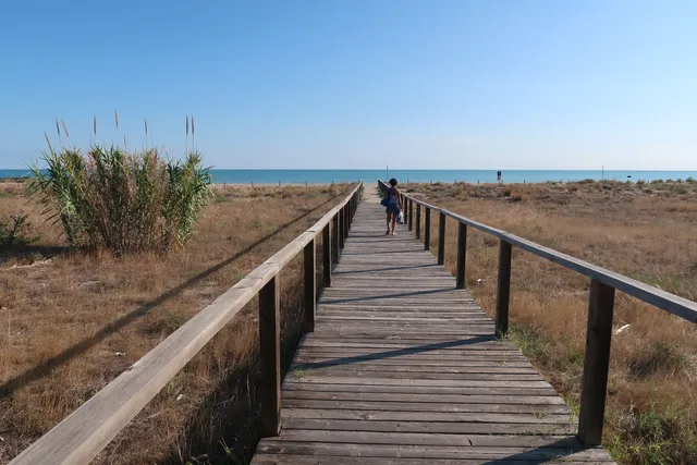 Pineta di Petacciato Marina