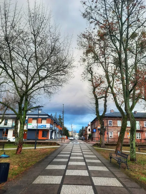 Park Miejski Im. Józefa Wybickiego