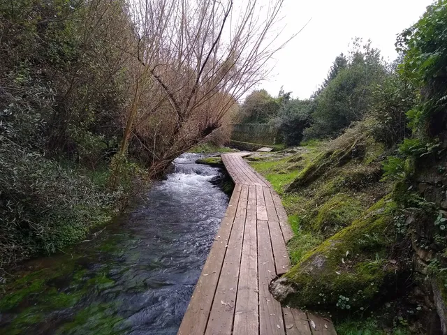 Paseo do río Sarela