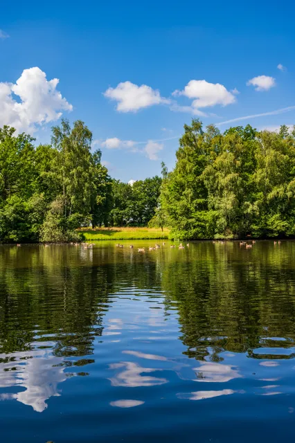 Landschaftssee Lavelsloh