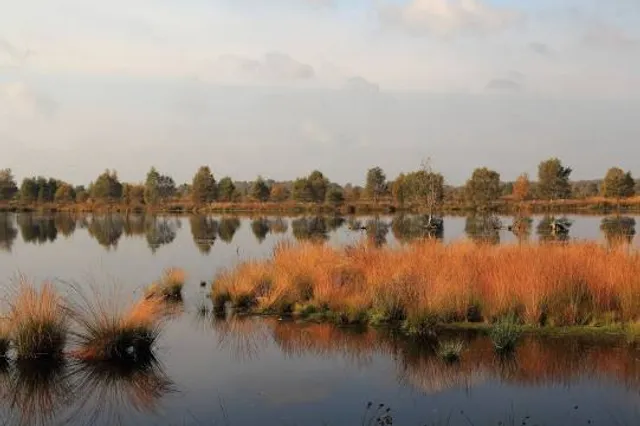 Bargerveen Nature Reserve