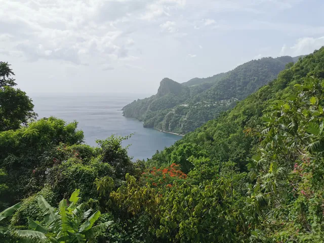 Dominica