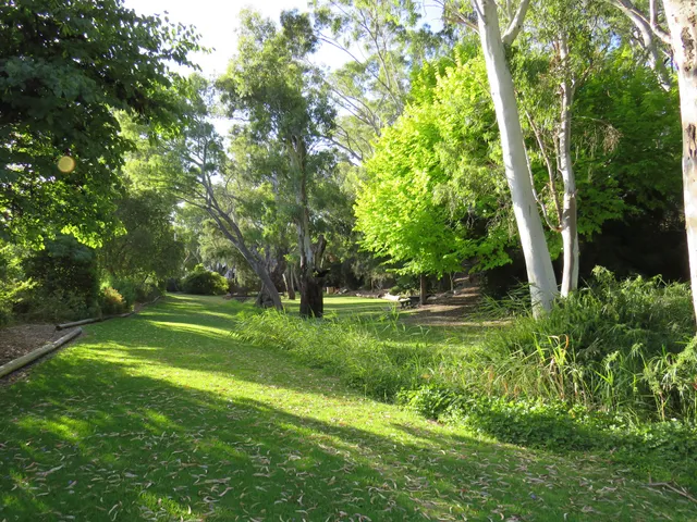Pine Park Reserve