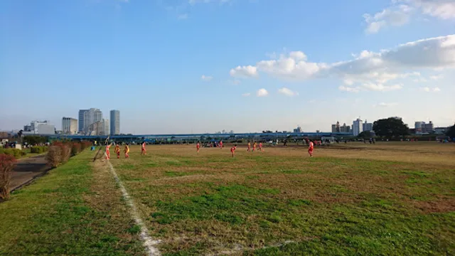 Multipurpose Field