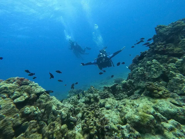 Big Kahuna Water Sports