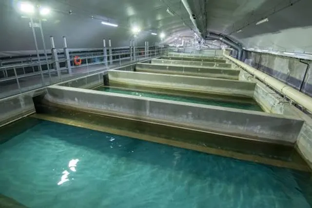 Hot Springs The Huemac