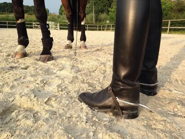 Kontaktnaya Derevnya