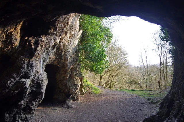 Spy Neandertal Fossils