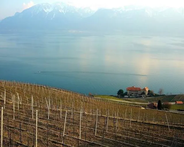 Cave Castle Glérolles