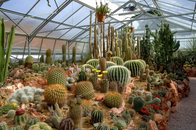 JURASSICA Jardin Botanique