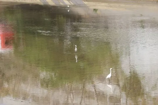 Academy Springs Park