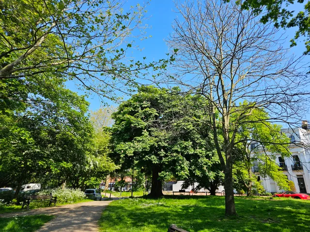 photo-1