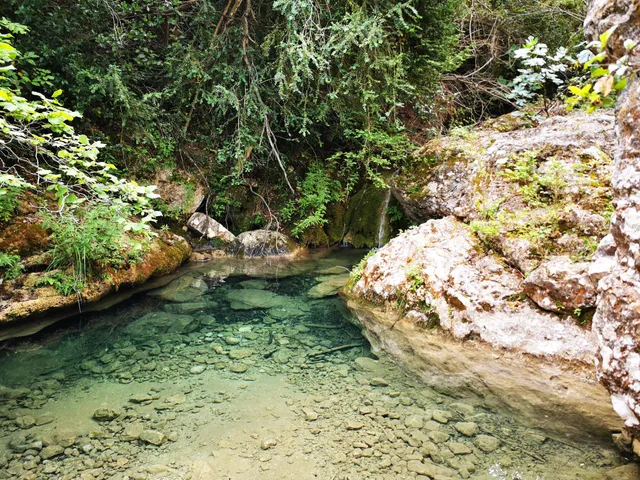 Font de la Llúdriga