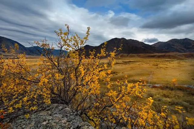 Golfo de Santa Clara
