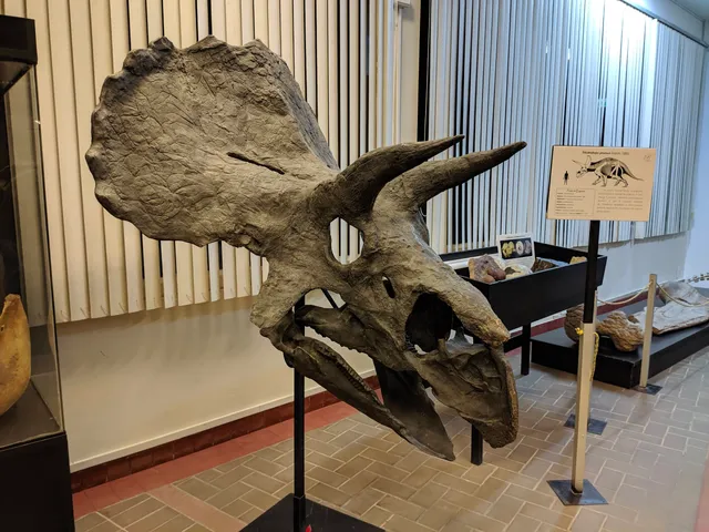 Natural History Museum "Vera Alleman Haeghebaert"