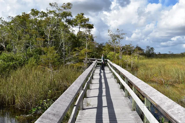 Pa-Hay-Okee Lookout Tower