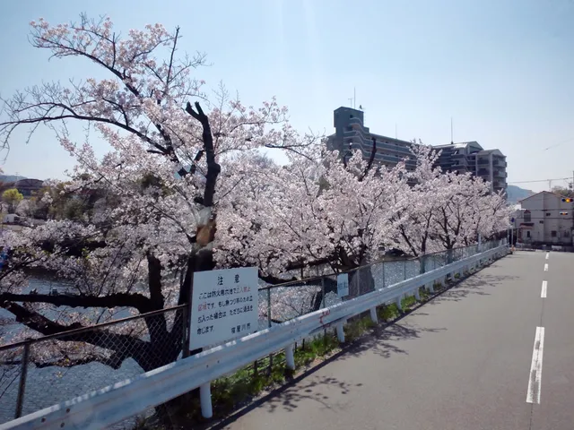 小路明和公園（しろやま公園）