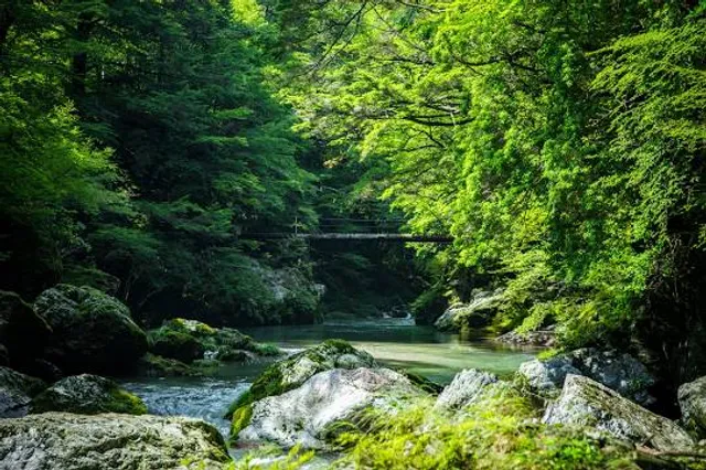 Odamiyama Gorge