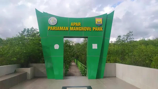 Mangrove Forest Park of Pariaman