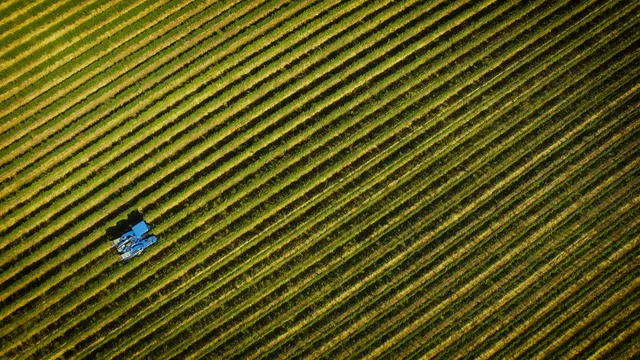 Fontányi Borászat Kft.