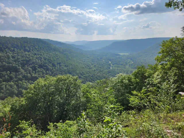 Loyalsock State Forest