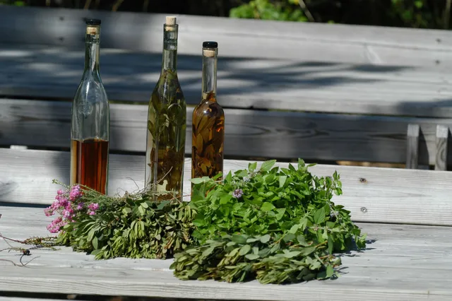 Natural history museum Skagen - Skagen Nature center