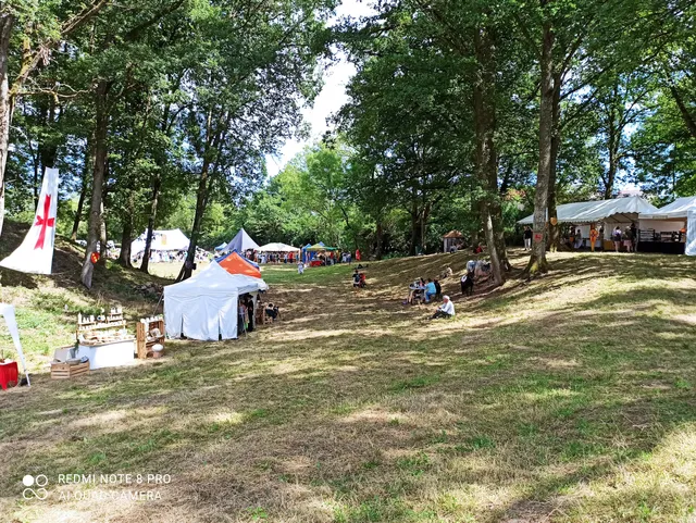 Mottes Castrales de l'An Mil