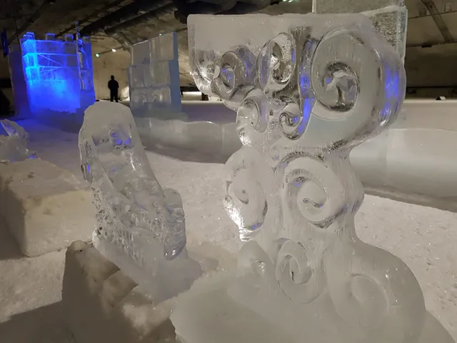 Vesileppis - Hiihtoareena